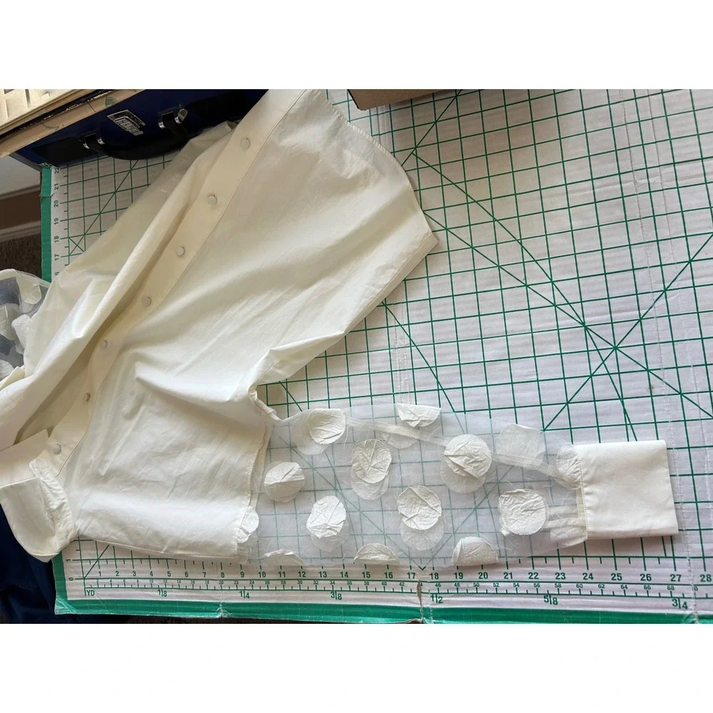Zara sheer 3d